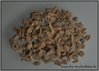 Zimtrinde    (Cinnamomum verum)